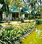 Krabi Hotels - Sand Sea Resort