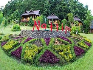 Nattipon Resort