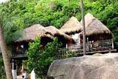 Koh Tao (Suratthani) Hotels - Charm Churee Villa Hotel